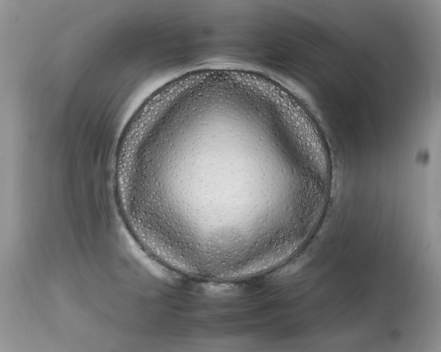 X0000112791231200909111204