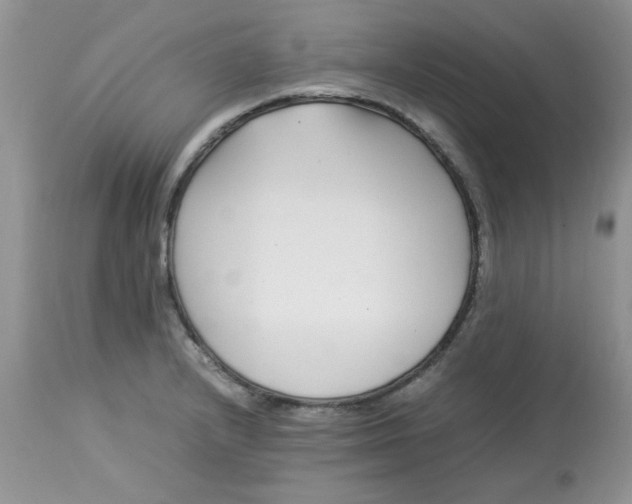 X0000112791232200909111204