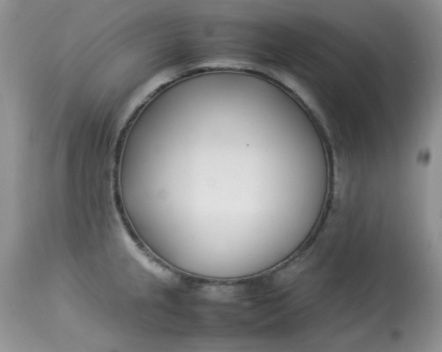 X0000112791237200909111204