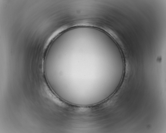 X0000112791238200909111204