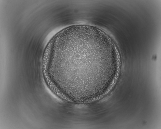 X0000112791239200909111204