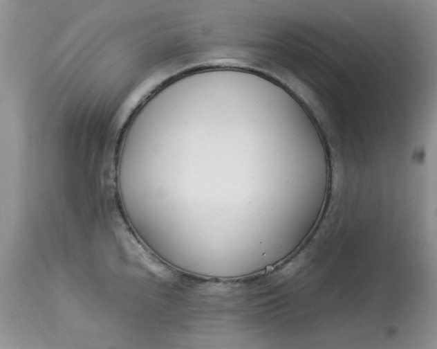 X0000112791240200909111204