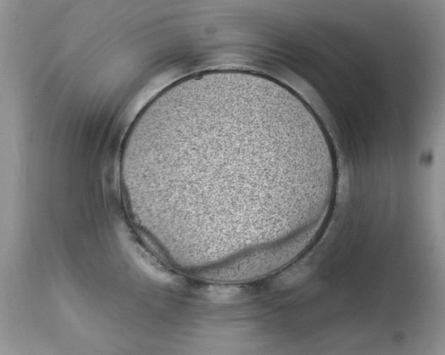 X0000112791242200909111204