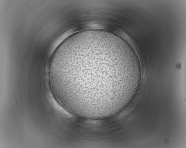 X0000112791243200909111204