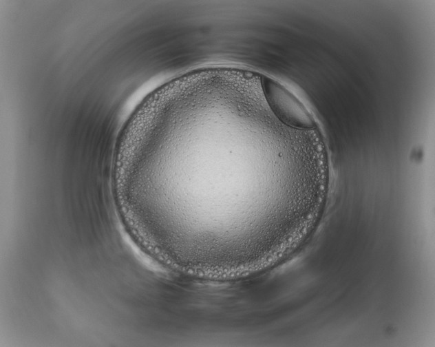 X0000112791245200909111204