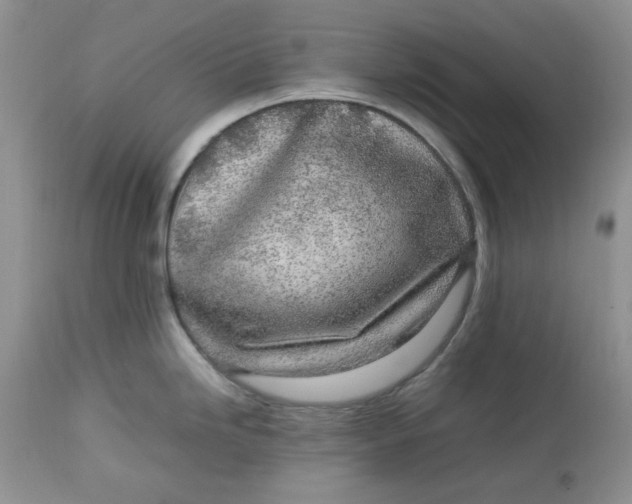 X0000112791246200909111204