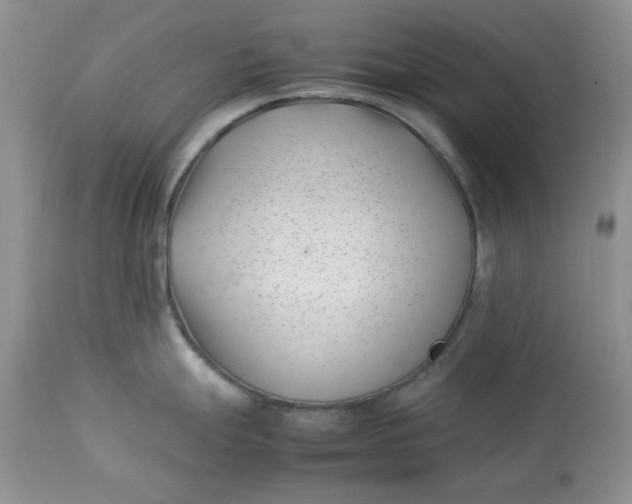 X0000112791247200909111204