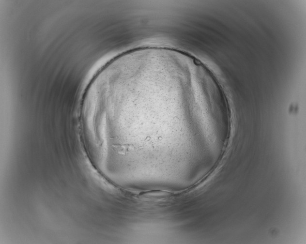 X0000112791248200909111204