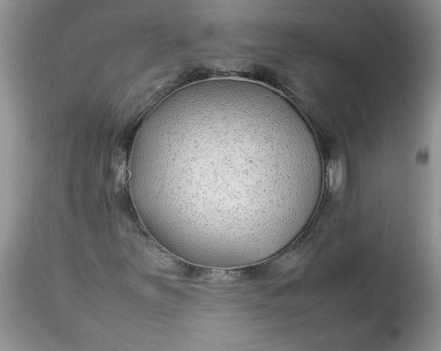 X0000112791251200909111203