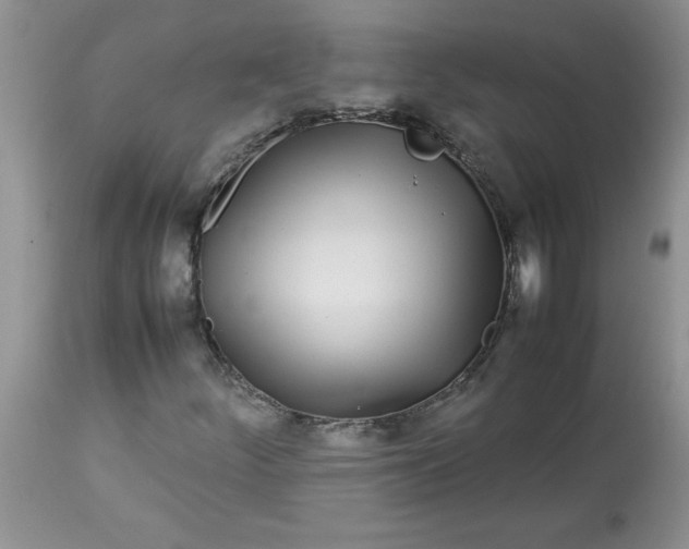 X0000112791252200909111203