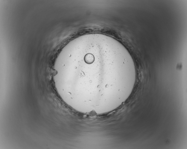 X0000112791253200909111203