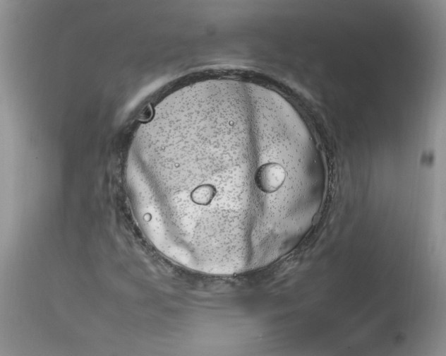 X0000112791255200909111203