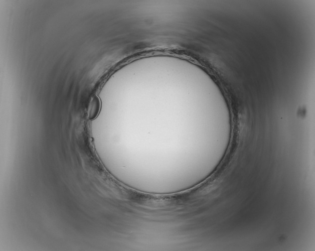 X0000112791257200909111203