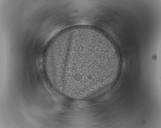 X0000112791258200909111203