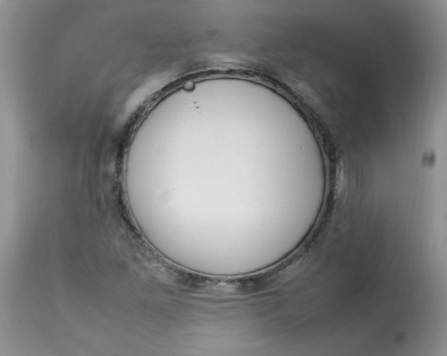 X0000112791261200909111203