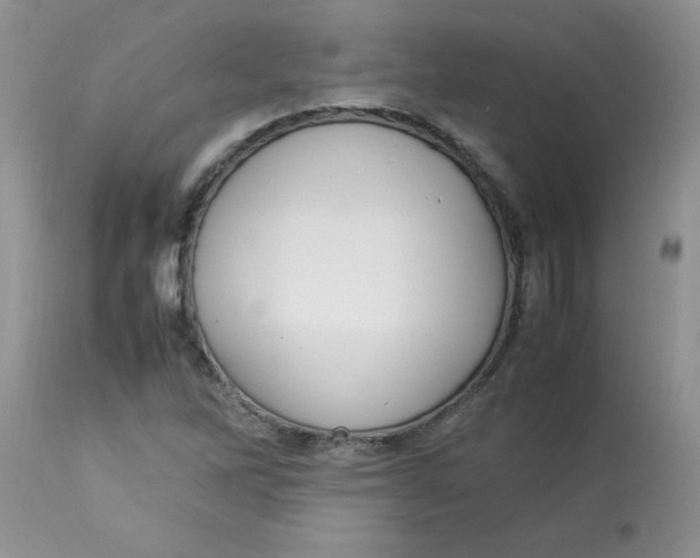 X0000112791262200909111203