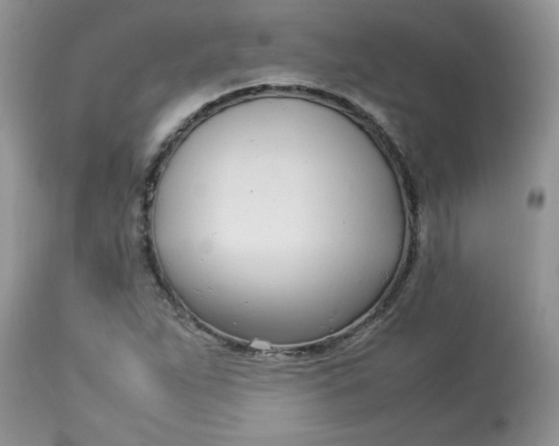 X0000112791263200909111203