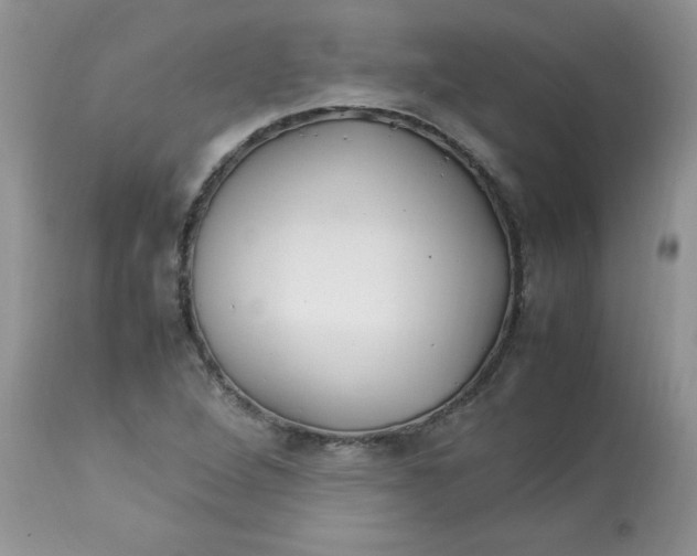 X0000112791264200909111203