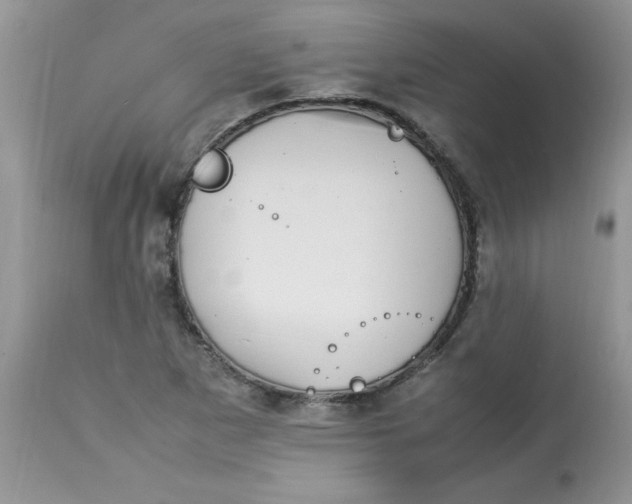 X0000112791265200909111203