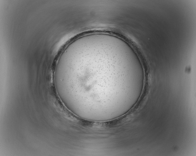 X0000112791267200909111203