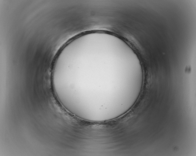 X0000112791268200909111203