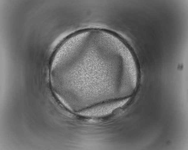 X0000112791271200909111203