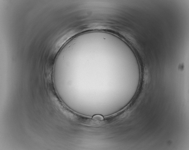 X0000112791273200909111203