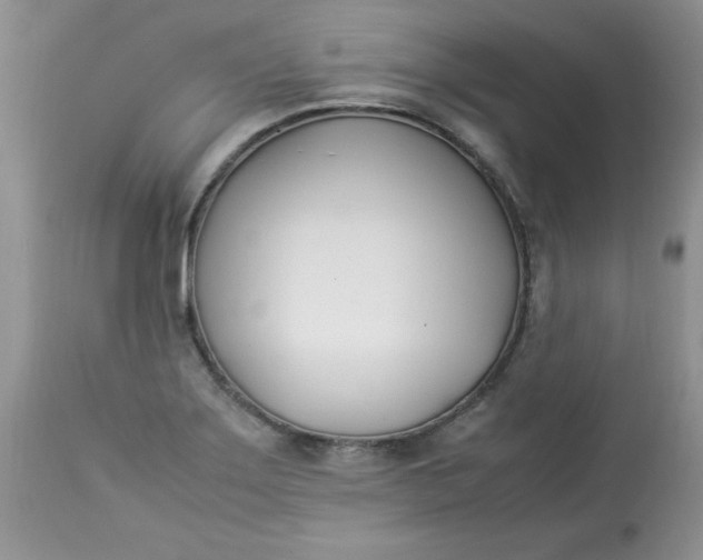 X0000112791275200909111203