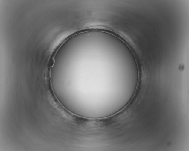 X0000112791277200909111203