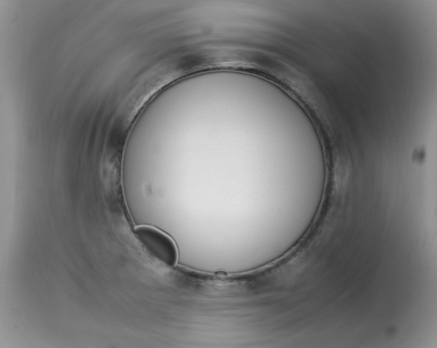 X0000112791281200909111203