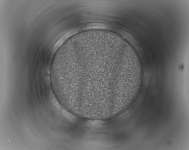 X0000112791282200909111203