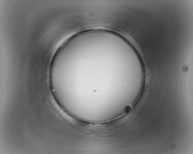 X0000112791285200909111203