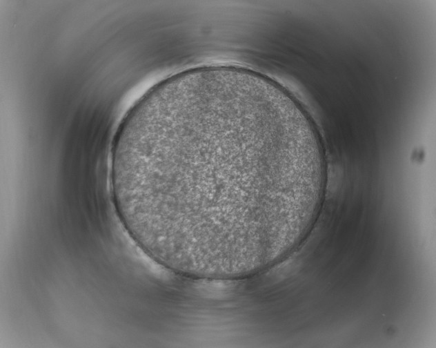 X0000112791286200909111203