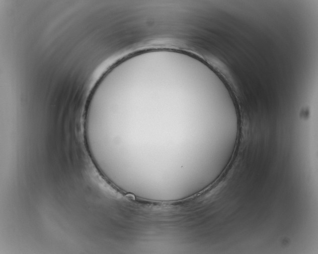 X0000112791288200909111203