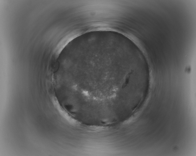 X0000112791289200909111203