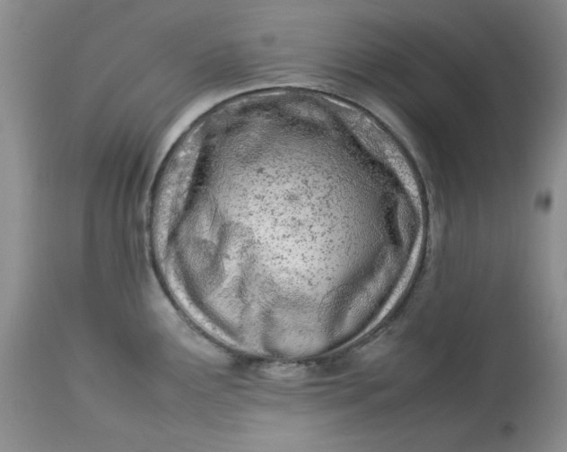 X0000112791291200909111203