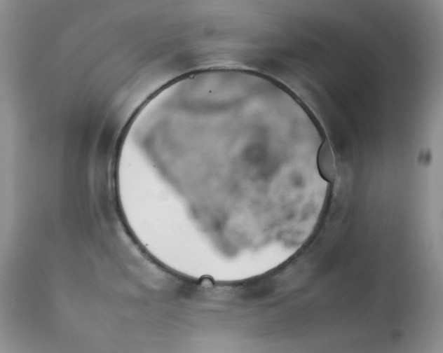 X0000112791293200909111203