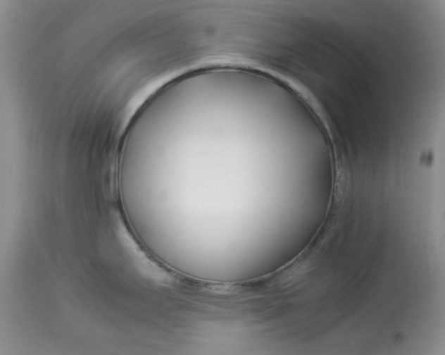 X0000112791295200909111203