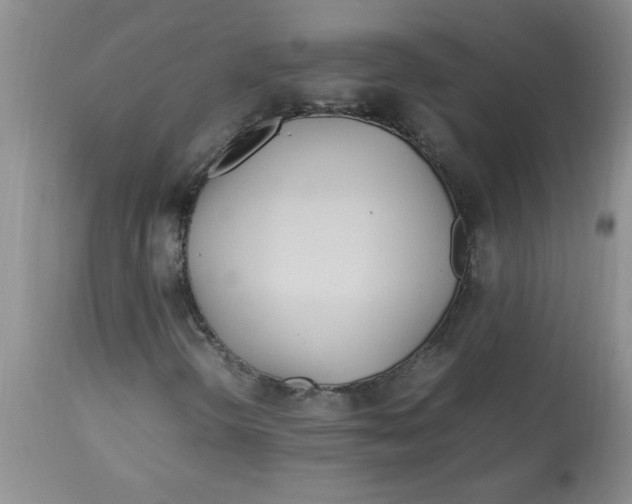 X0000112791298200909111202