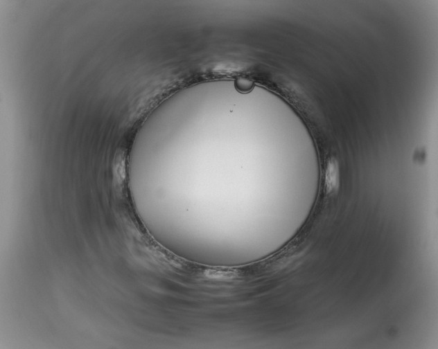 X0000112791299200909111202