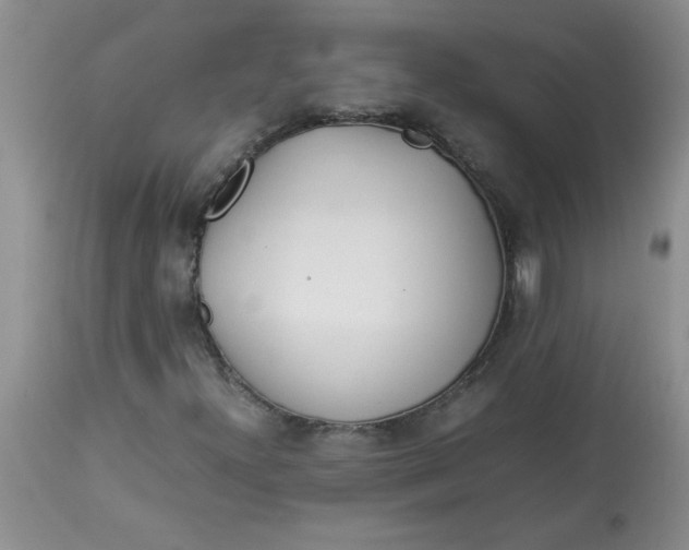 X0000112791300200909111202