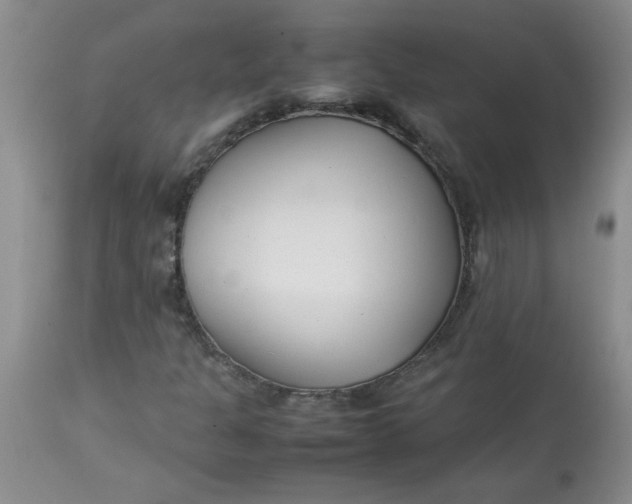 X0000112791301200909111202