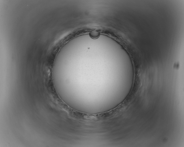 X0000112791302200909111202