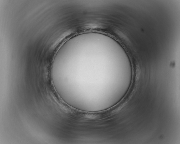 X0000112791305200909111202