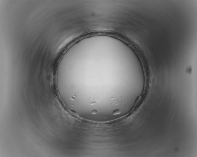 X0000112791306200909111202