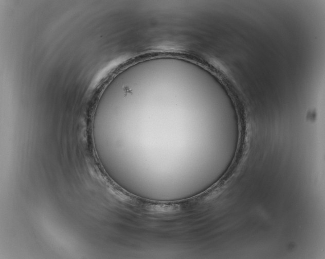 X0000112791307200909111202