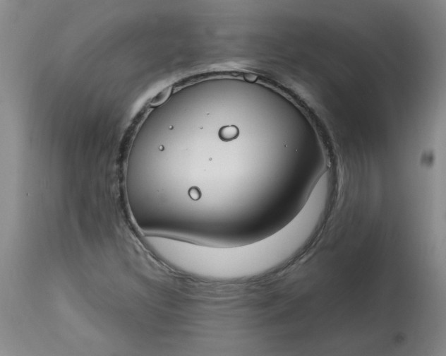 X0000112791308200909111202