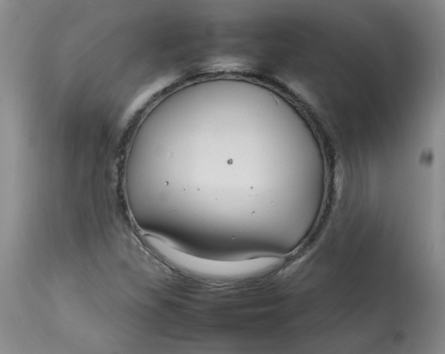 X0000112791309200909111202