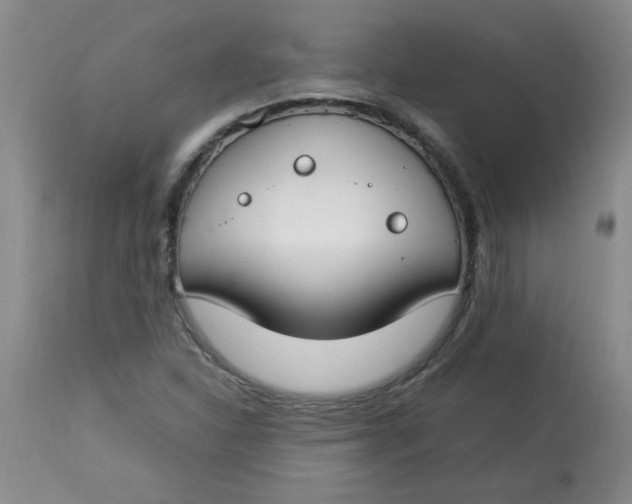 X0000112791310200909111202