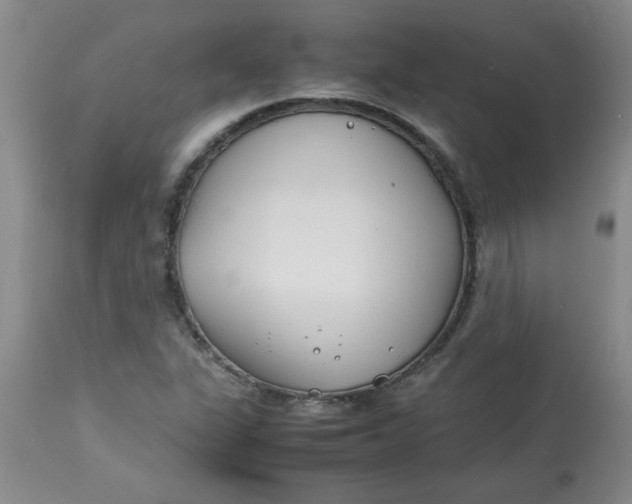 X0000112791311200909111202